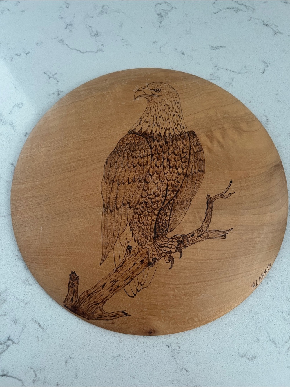 Eagle on maple wood.